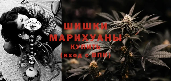 спайс Алзамай