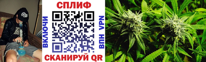 Конопля SATIVA & INDICA закладка Шумиха